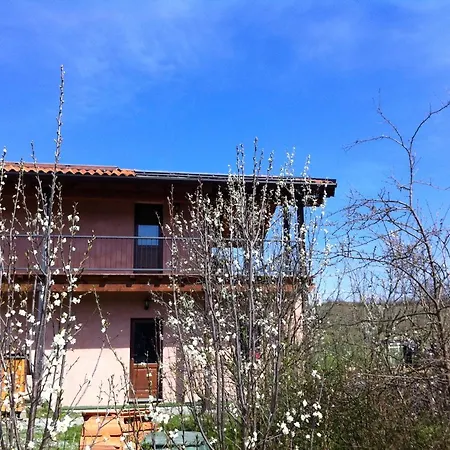 La Volpe E La Luna Nyaraló Mioglia
